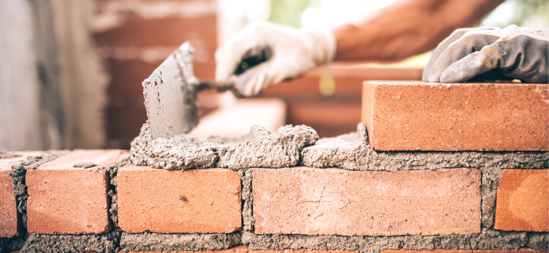 november monthly promotion mortar