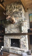Fireboulder Livingston Blend