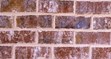 Harbour Shoals red facebrick pine hall