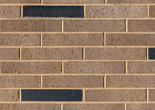 Gold and black brick with gold mortar