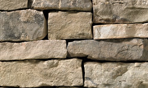 Trevino Stone Profile