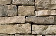 Trevino Stone Profile
