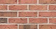glen gery iberia facebrick shelby
