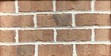Browns Ferry brown facebrick pine hall