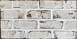 Oyster Pearl white brick pine hall facebrick