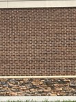 Browns Ferry brown facebrick pine hall