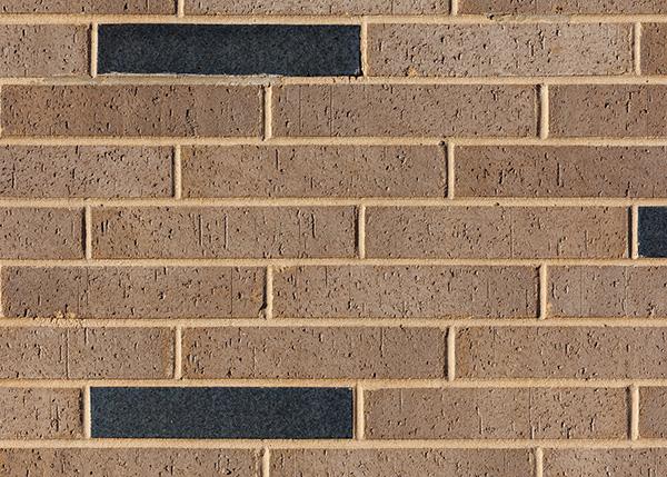Gold and black brick with gold mortar
