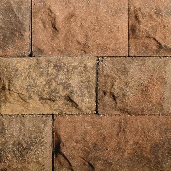 NFD East Belair Harvest Blend Brick - Harvest Blend brick by NFD East Belair.
