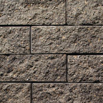 Highland Wall in Oxford Charcoal by NFD East