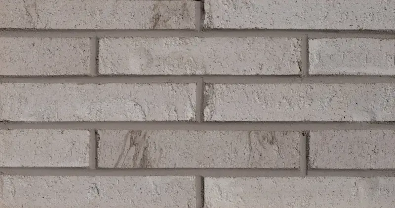 Boerum Blend Bladecut