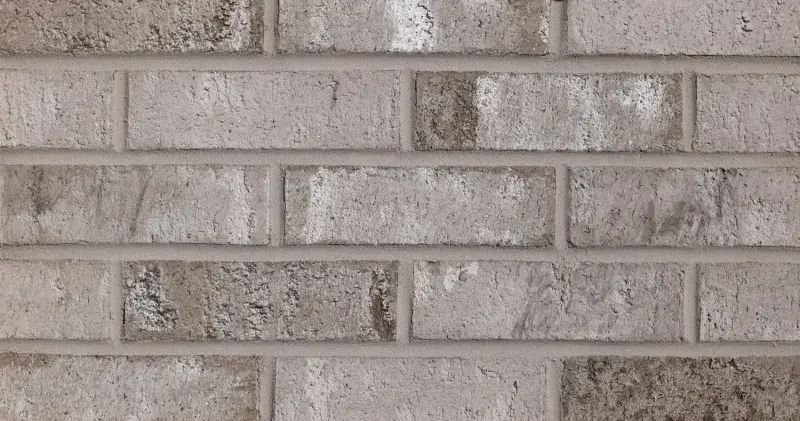 Vanderbilt Blend Bladecut