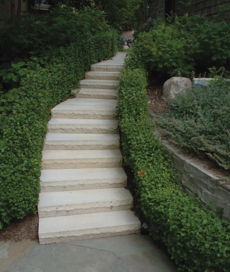Eden Valders Custom Steps