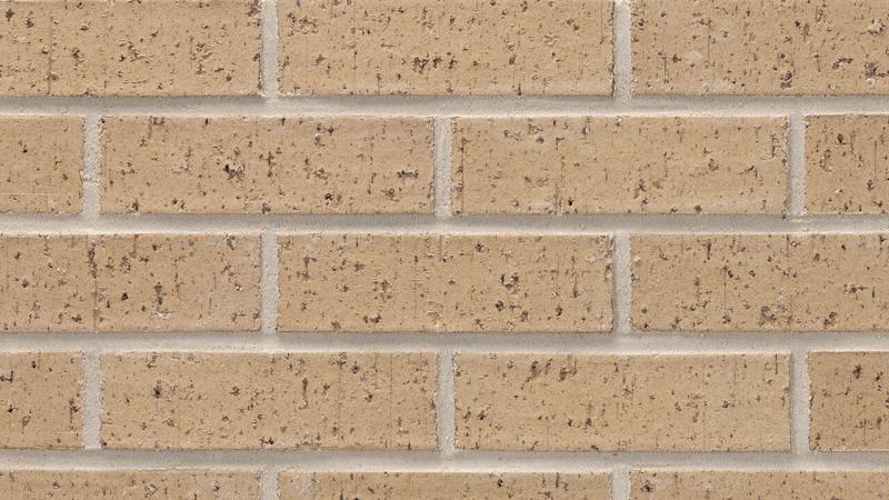 Royal Oak Velour Brick - Compact view of Royal Oak brick with distinct texture.