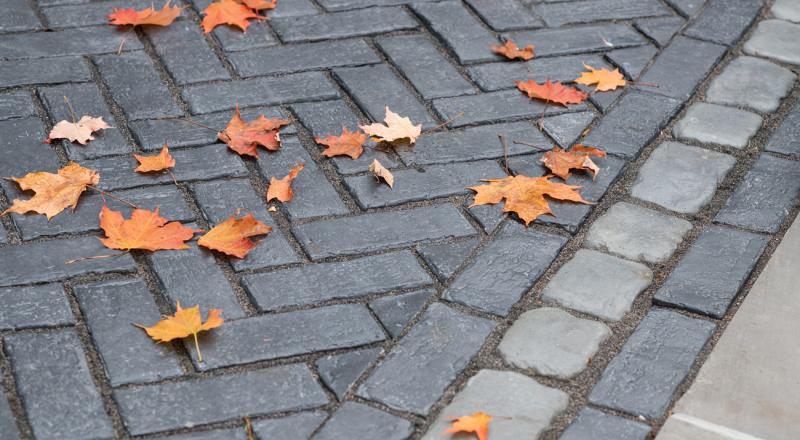 Web Gallery of TWH Fall Exterior Design