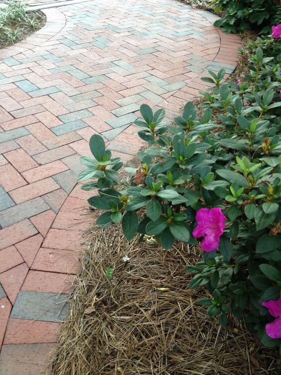 Pathway Design with Landscape Stone