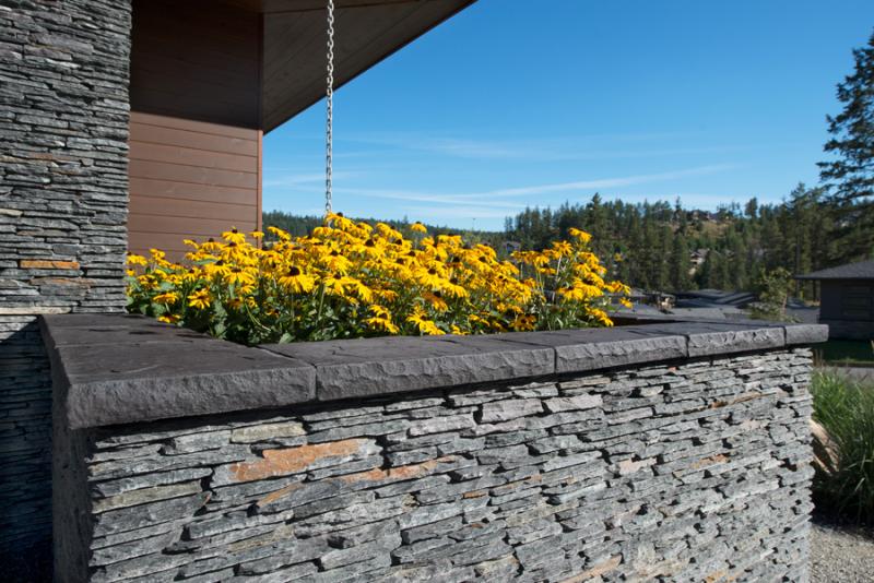 Pangaea Microledge West Coast Stone