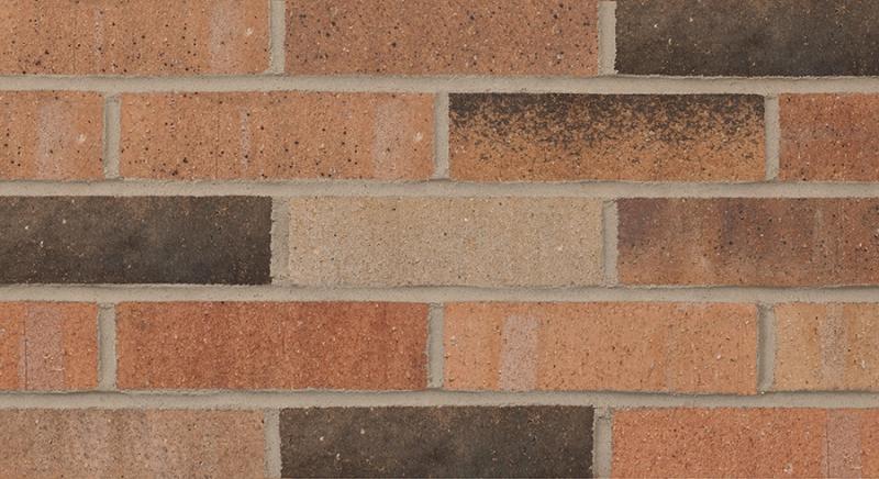 Illini Commons with Black Accent