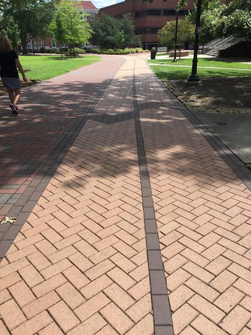 ECU Campus Building Material Compact View