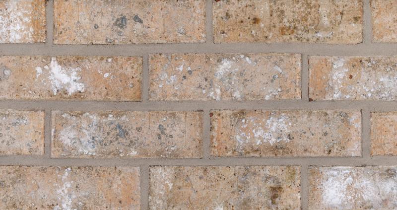 Lifestyle Series Willow Ash Builder's Special Compact View