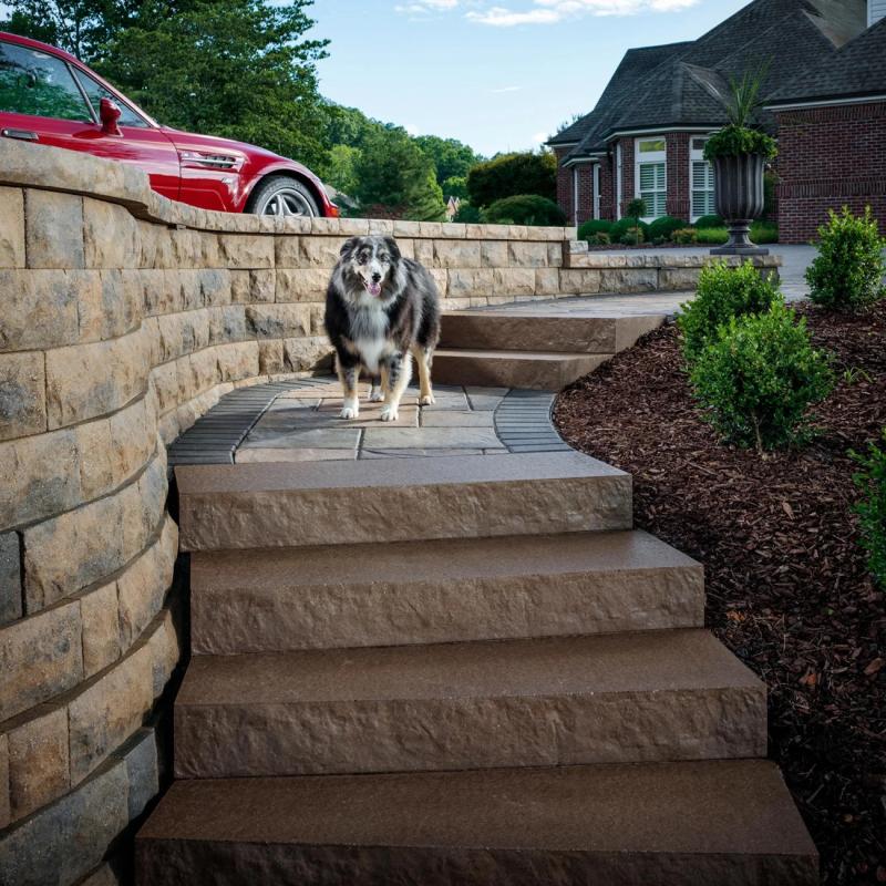 Adams West Landing Step Stone Compact View