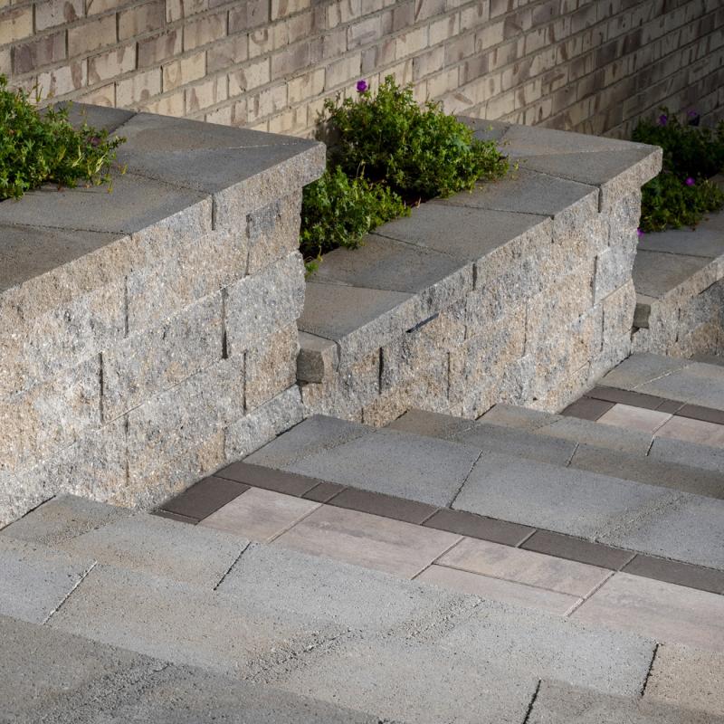 Ashgrove Sterling Wall Beauty 2022