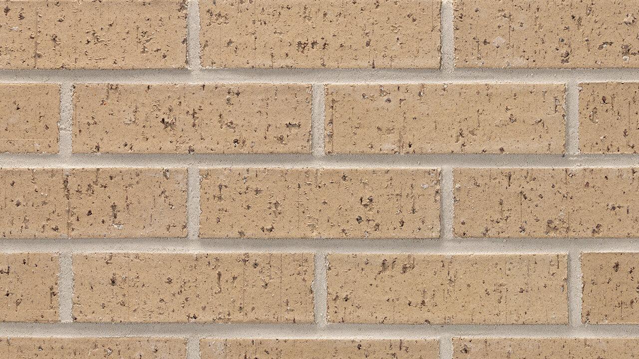 Royal Oak Velour Brick - Compact view of Royal Oak brick with distinct texture.