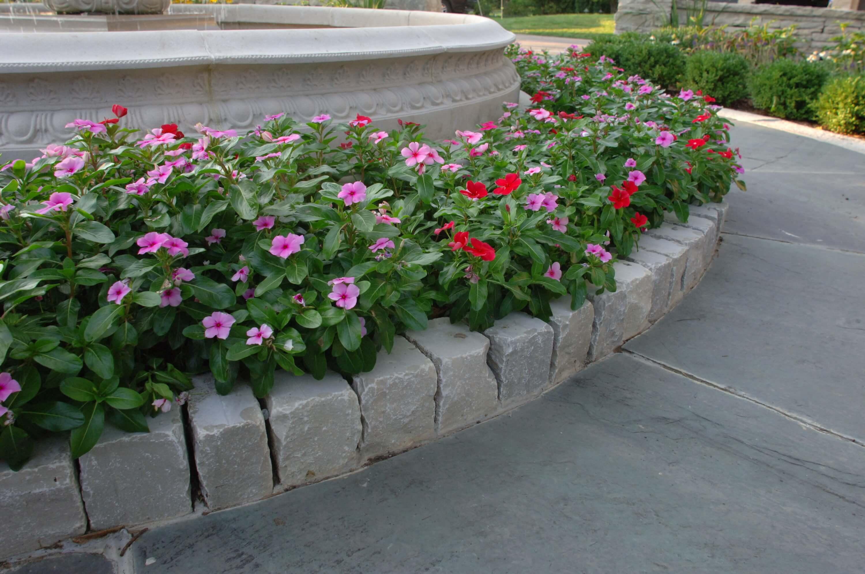 Eden Lawn Edging Stone