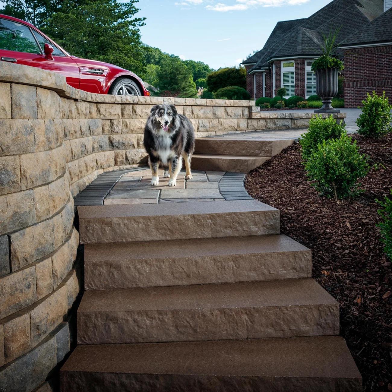 Adams West Landing Step Stone Compact View