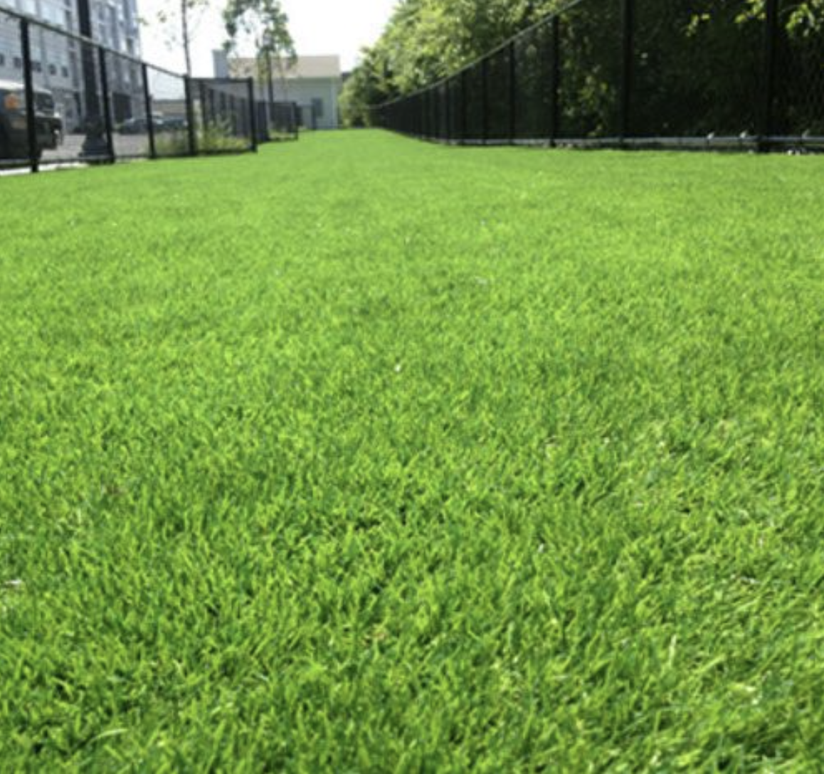 Kentucky garden mark artificial turf artificial grass