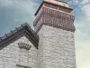 Thumbnail 11